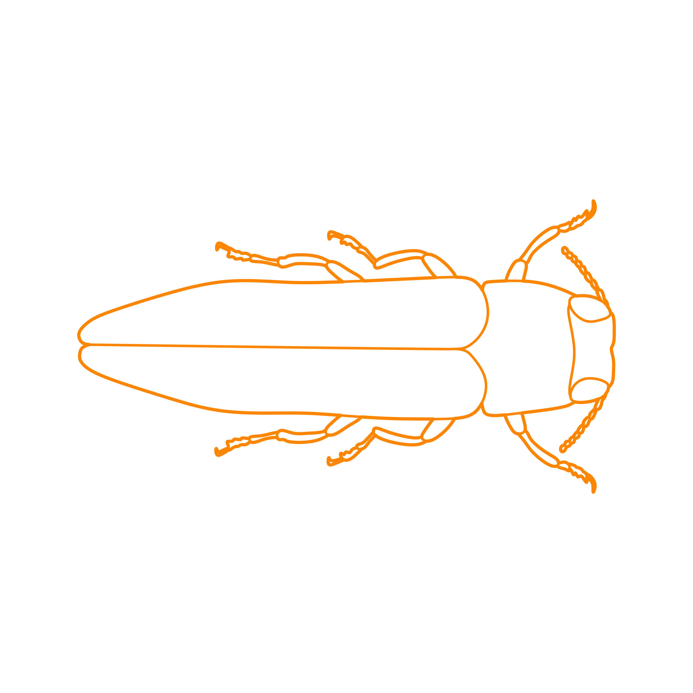 Animals Insects Emerald Ash Borer Outline Icon Svg Set Free Vectors